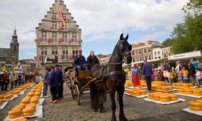 Private Day Trip to Oudewater, Utrecht and Gouda from Amsterdam