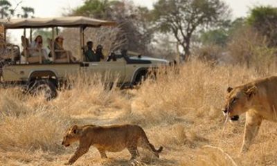 Multi Day Tanzania Safari and Zanzibar Beach Getaway