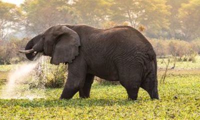 Private Adventure in Southern Malawi