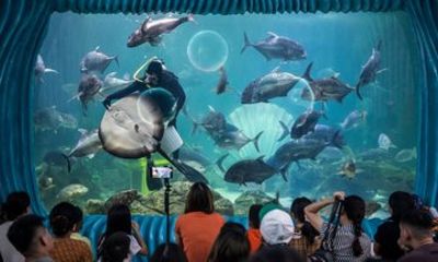 Private Kids and Family Tour Aquarium Farm and Chocolate