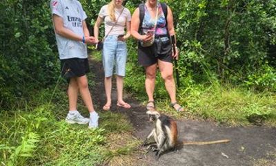 DayJozani Forest, Salaam Cave and Mtende Beach praivet tour Tour