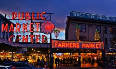 Private Grand Seattle Experience Layover Tour with Iconic Sites