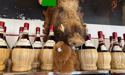 Chianti Private Wine Tasting and Vineyard Dinner Experience