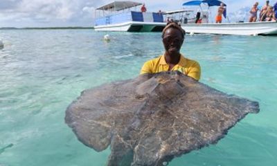 Stingray Snorkel and Scenic Tour with Exquisite Tours Antigua