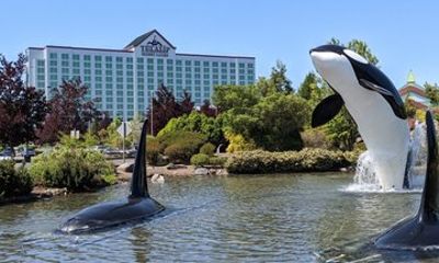 Private Evening Excursion to Tulalip Resort Casino