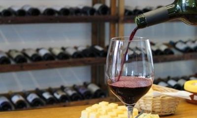 Wine and Cheese Tasting in Colonia del Sacramento