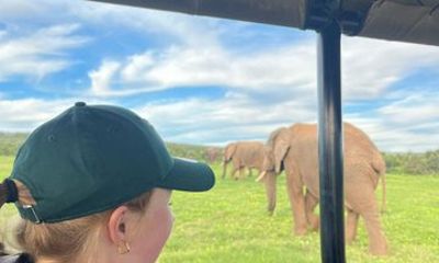 3 Days Amakhala Game Reserve Safari with Addo Elephant Park
