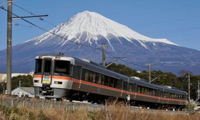 Mt Fuji Views Tour by Hokusai Train and Wasabi Farm