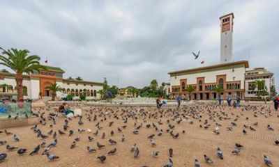 Best of Casablanca Half Day City Tour with Top Highlights