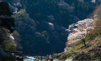 Hozugawa River Boat Ride Experience in Kyoto with Arashiyama View