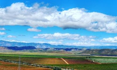 Private Vineyards Tour: Wine & Food Included