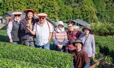 Shizuoka Green Tea Picking Tasting and Photo Experience