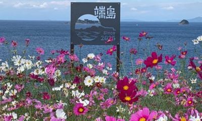 Discover Seasonal Nagasaki with a Local Guide