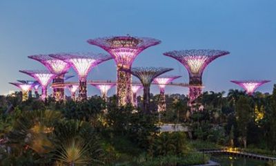 Joiner 2 Way Transfer Gardens by the Bay Day and Night Experience