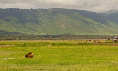 3 Days Camping Safari Tarangire & Ngorongoro Crater