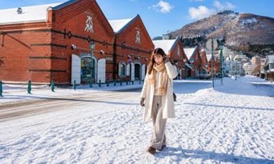 Hakodate Private Tour Historic District Goryokaku and Night View