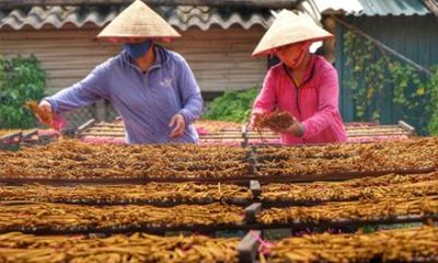 Hanoi Incense Village Visit and Conical Hat Making Experience