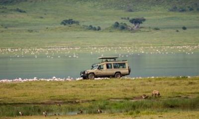 Private Day Trip to Ngorongoro Crater from Arusha