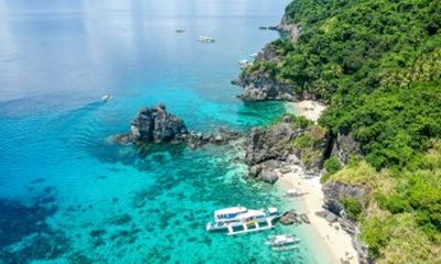 Apo Island Day Tour from Dumaguete with Lunch & Transfer