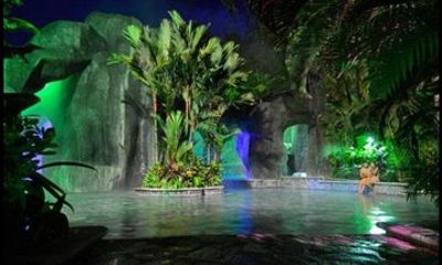Combo Nature Tour and Baldi Hot Springs with a Meal