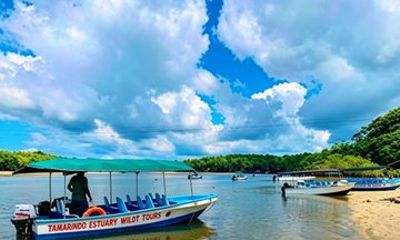 Tamarindo Mangrove Guided Boat Tour in Las Baulas National Park