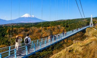Mt Fuji Mishima Skywalk Shine Muscat Picking and BBQ
