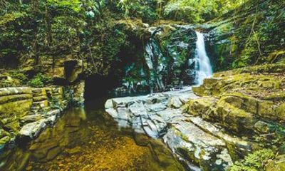 Bach Ma National Park Nature Tour – Private from Da Nang