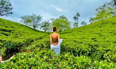 Tangalle to Ella Day Tour With Scenic Train Ride and Waterfall