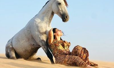 Horse Ride with Souvenir Photos and Videos in Essaouira