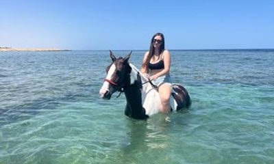 Hurghada Horse Riding Desert Beach and Red Sea Swim Options