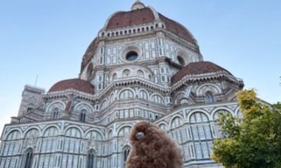 Heart of Umbria Perugia and Assisi Private Day Tour from Florence