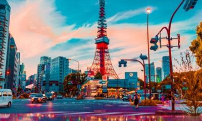 Tokyo Private and Customizable Driving Tour with Licensed Guide