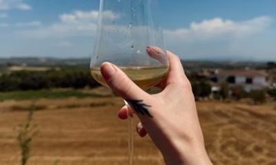 Penedès Wine Corpinnat and Cava Tour Exclusive Wine Experience