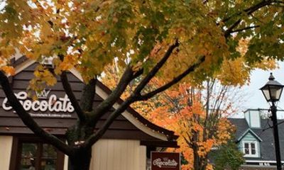 From Montreal to Mont Tremblant Full Day Tour at the Village