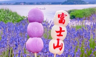 Mount Fuji Lake Kawaguchi and Matcha Experience