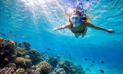 Private Snorkeling Discovery in Hurghada
