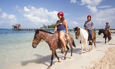 Roatán Horse Back Riding , Beach Break , Chocolate Rum Tasting