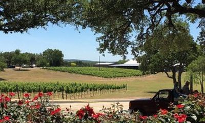 Private 6 Hour Winery Experience in Fredericksburg