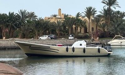 Luxury Private Speedboat from Gouna Dolphin House Bayoud Island