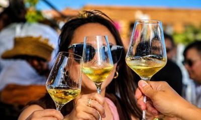 Lagos Wine Tasting at Local Winery