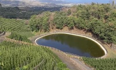 Etna Tasting Craters Local Flavors and Wines of Etna DOC