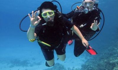 Intro Dive in Hurghada