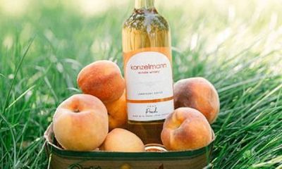 Niagara Wine Country Small Group Tour from Toronto
