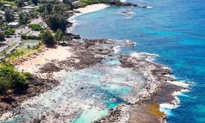 Private Minivan Tour from Waikiki to North Shore