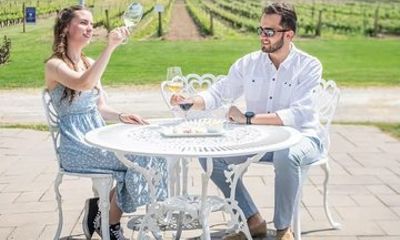 Niagara Bubbles and Icewine Winery Tour from Toronto