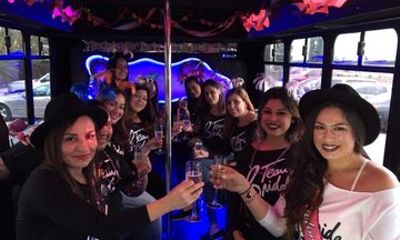 Temecula Somerset Vineyard Wine Tour