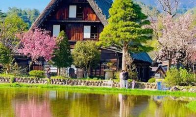 From Kanazawa or Toyama Shirakawa go and Takayama Day Trip