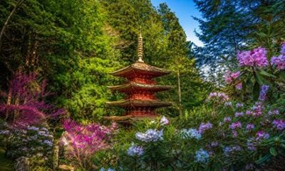 Private Nara Ancient Temples & Nature Day Tour from Osaka/Nara