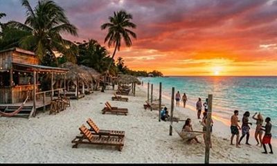 Private Transfer at Negril with Licensed Driver
