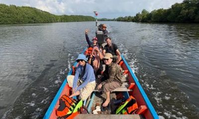Foraging the Mangroves Surat Thani